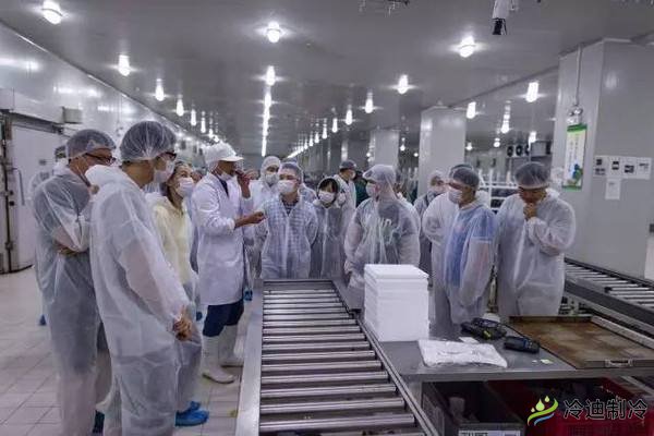 生鮮電商冷庫(kù)維修保養(yǎng)-我廚上海科技有限公司(圖1)