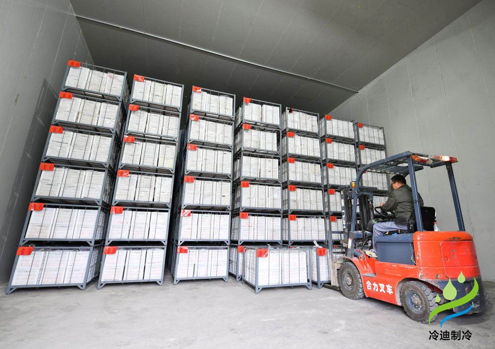 蘋(píng)果冷庫(kù)儲(chǔ)存方法