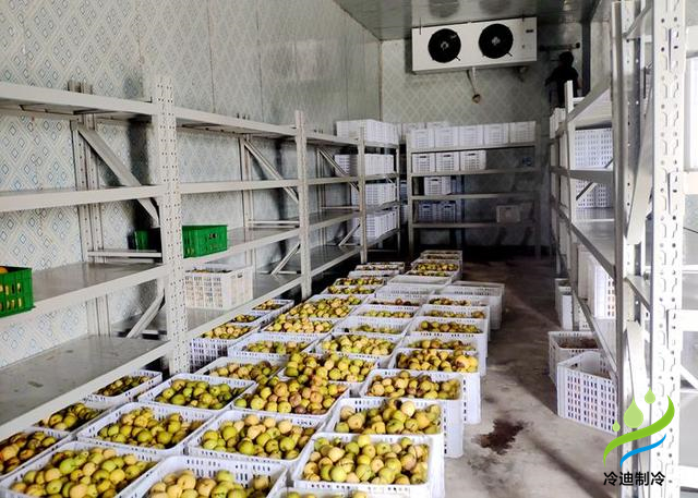 梨保鮮冷庫(kù)