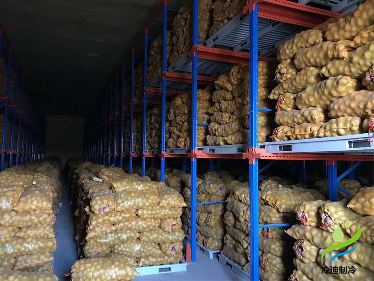 建造100噸土豆冷庫面積及冷庫造價多少錢？