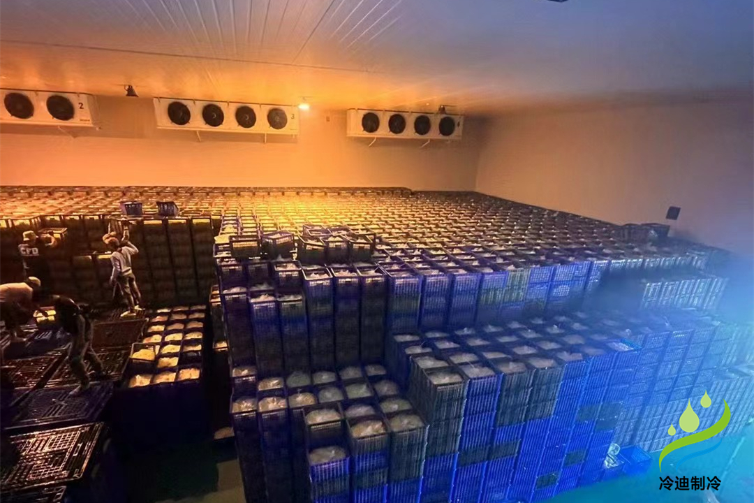 1000立方冷庫可以存多少噸？用多大制冷設備？