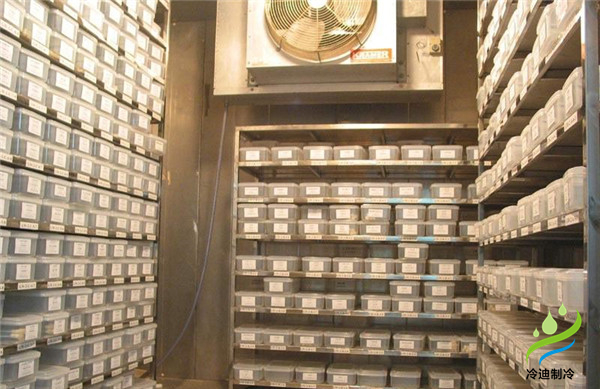 安裝一個小型種子冷庫大概要多少錢？