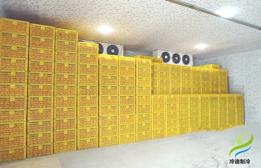 建造一個橙子冷庫需要多少錢？(圖2)